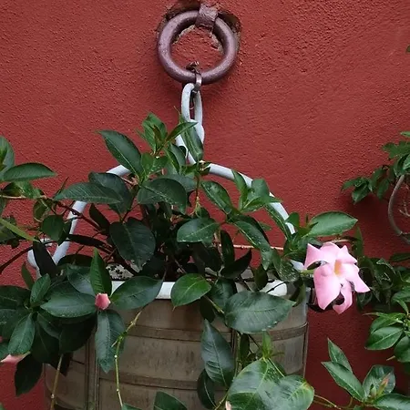 Apartmán L'alcova Dei Grifoni *